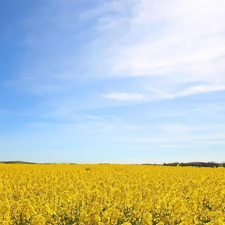 Appartement Haus Blick Zur See Ferienwohnung 14 - Mit Sauna- Und Schwimmbadnutzung Im Ahoi Sellin *